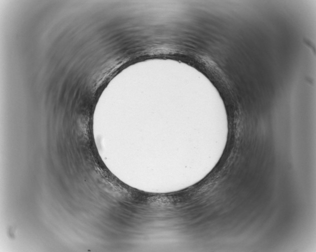 X0000101461217200808041034