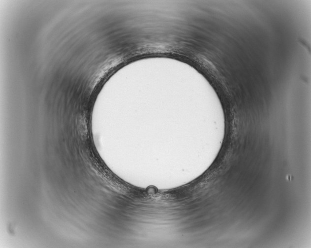 X0000101461218200808041034