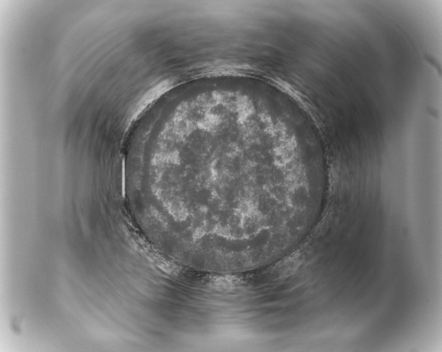 X0000101461219200808041034