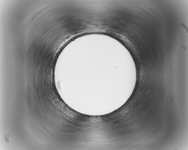 X0000101461220200808041034