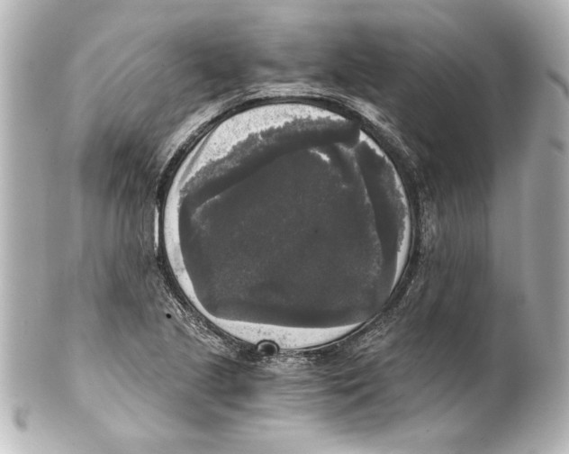 X0000101461221200808041034