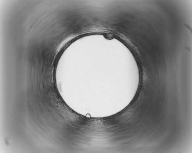 X0000101461222200808041034