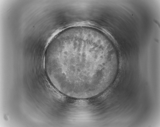 X0000101461224200808041034