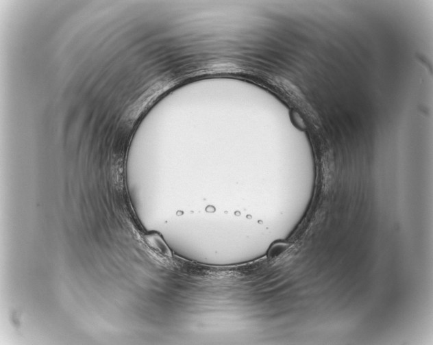 X0000101461225200808041034