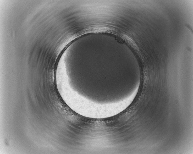 X0000101461226200808041034