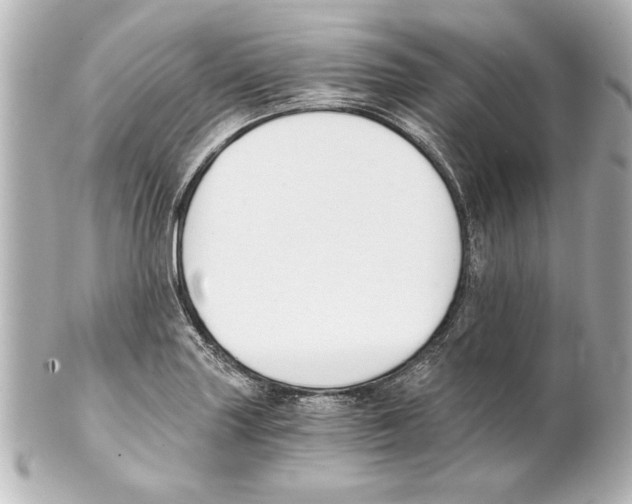 X0000101461227200808041034