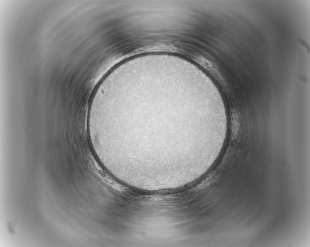 X0000101461228200808041034