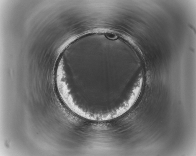 X0000101461229200808041034