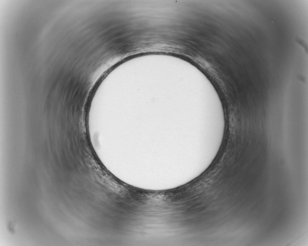 X0000101461230200808041034