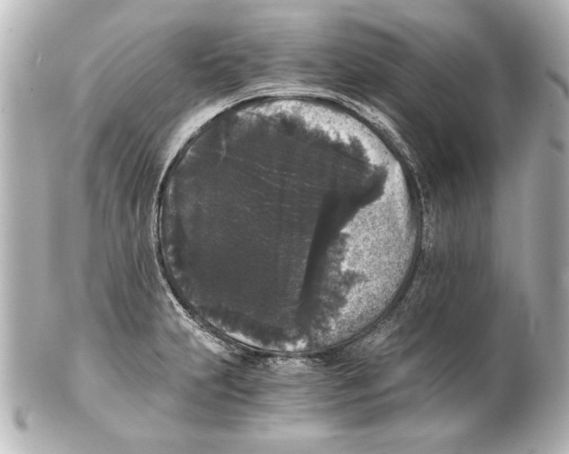 X0000101461231200808041034