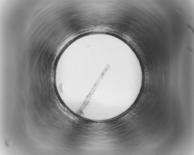 X0000101461232200808041034