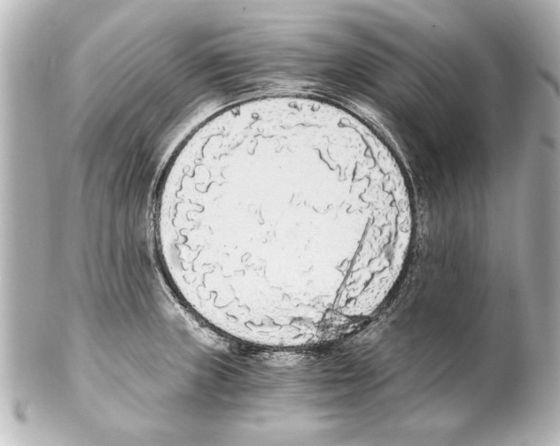 X0000101461235200808041034