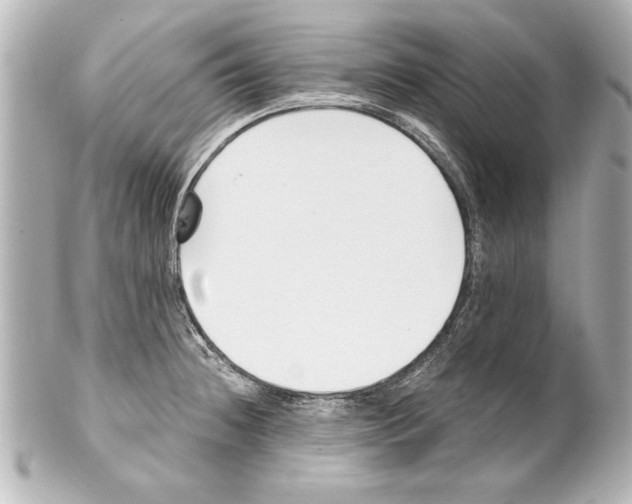 X0000101461236200808041034