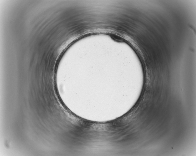 X0000101461237200808041034