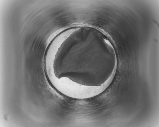X0000101461239200808041034