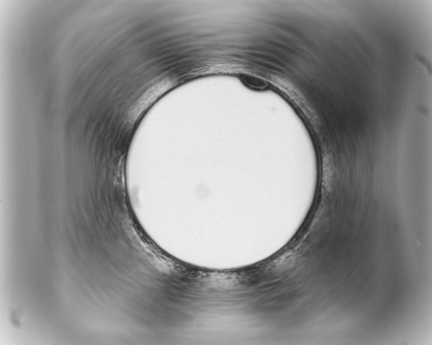 X0000101461241200808041034