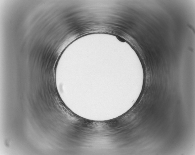 X0000101461242200808041034