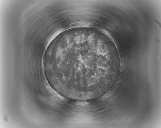 X0000101461243200808041034