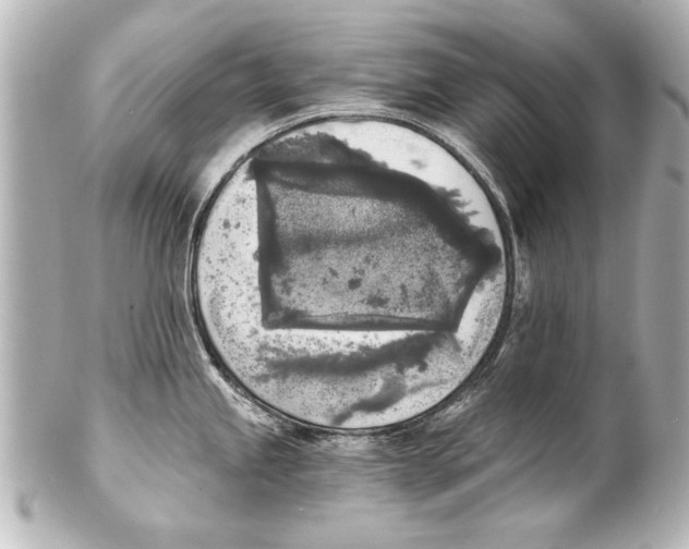 X0000101461245200808041034