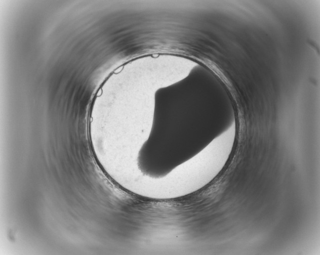 X0000101461246200808041034