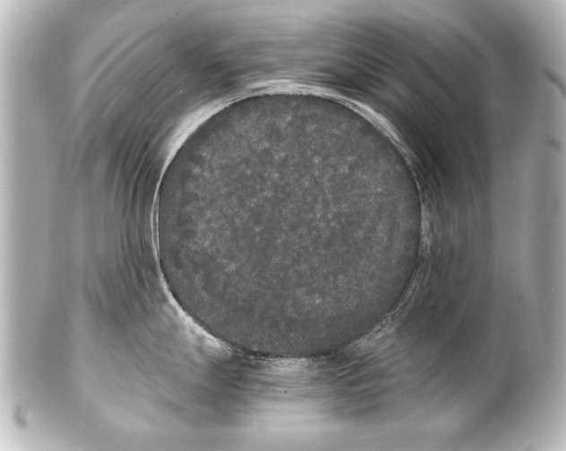 X0000101461247200808041034