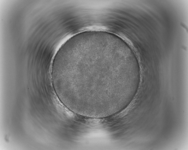 X0000101461248200808041034