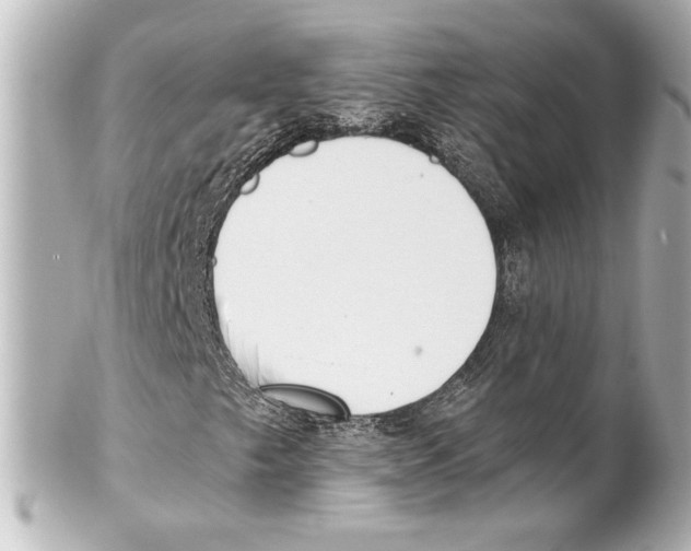 X0000101461249200808041033