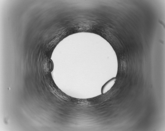 X0000101461250200808041033