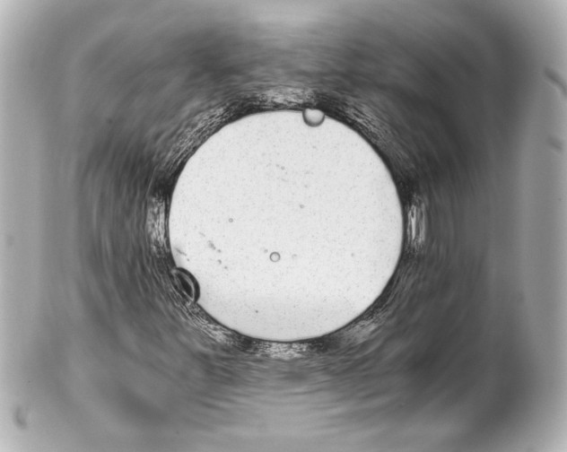 X0000101461251200808041033