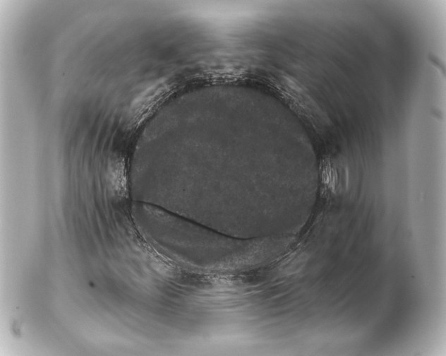 X0000101461252200808041033