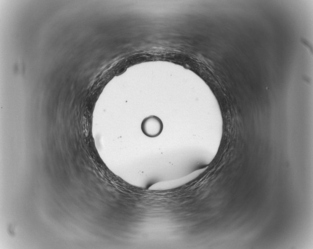 X0000101461253200808041033