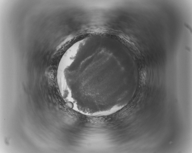 X0000101461254200808041033