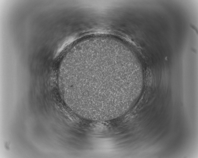 X0000101461255200808041033