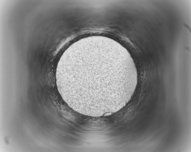 X0000101461256200808041033