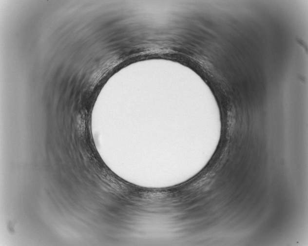 X0000101461257200808041033