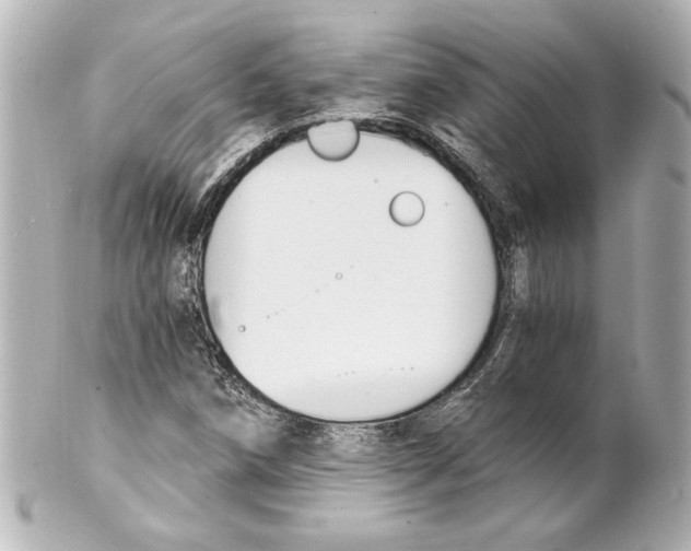 X0000101461258200808041033