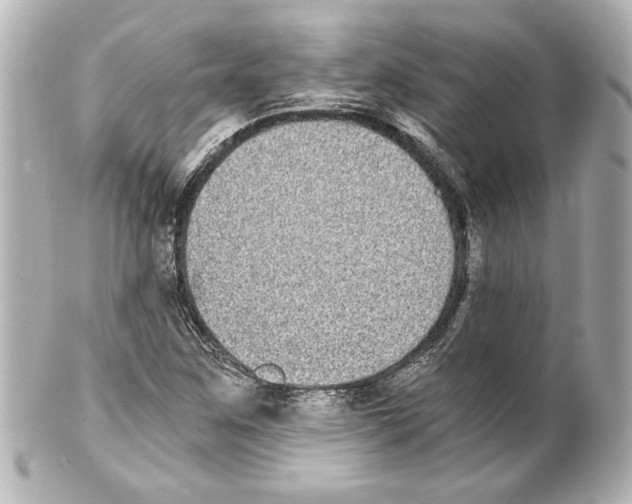 X0000101461259200808041033