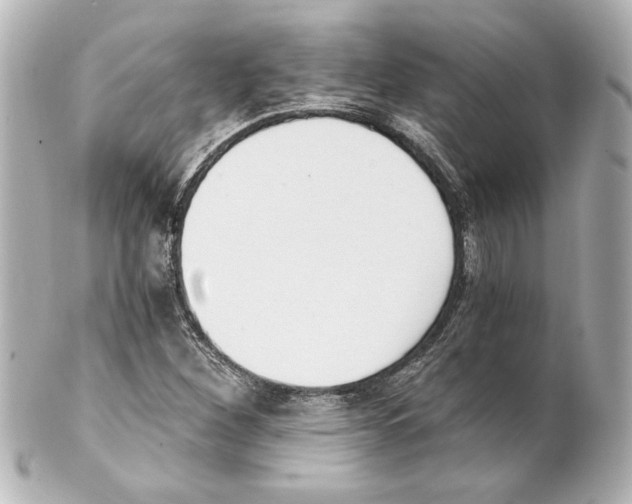 X0000101461260200808041033