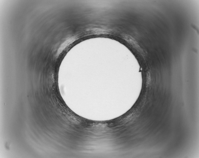 X0000101461261200808041033