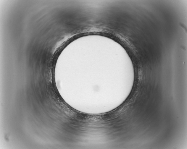 X0000101461262200808041033