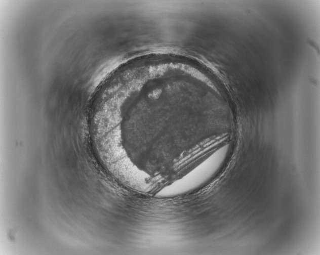 X0000101461263200808041033