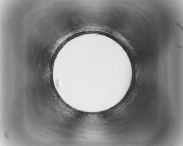 X0000101461264200808041033