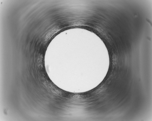 X0000101461265200808041033
