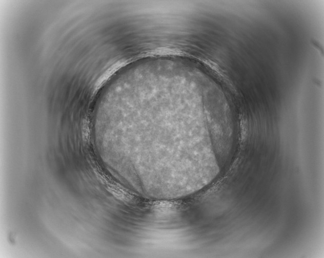 X0000101461266200808041033