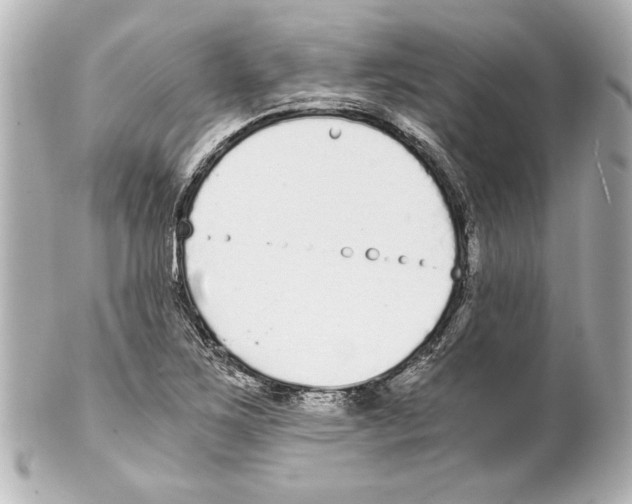 X0000101461267200808041033