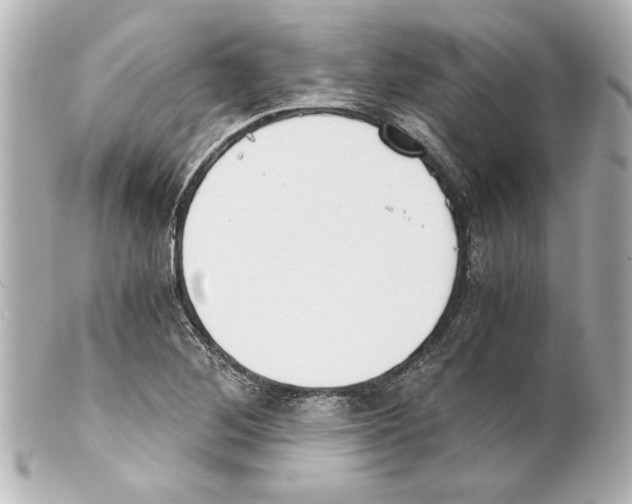 X0000101461268200808041033