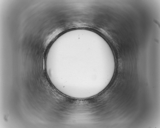 X0000101461269200808041033