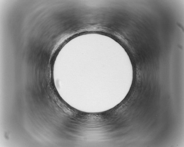 X0000101461270200808041033