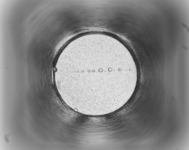 X0000101461271200808041033