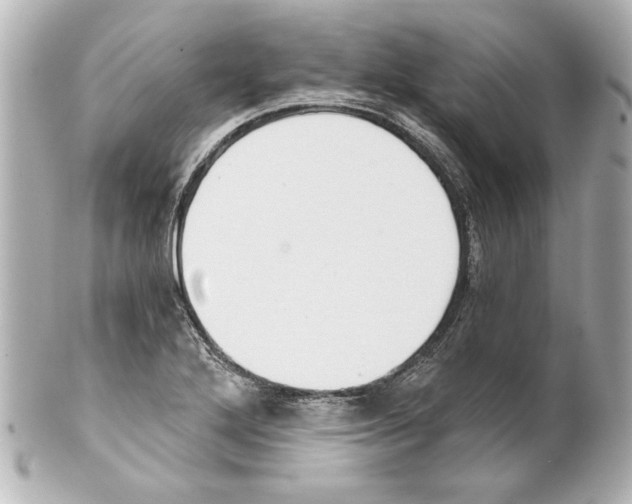 X0000101461272200808041033